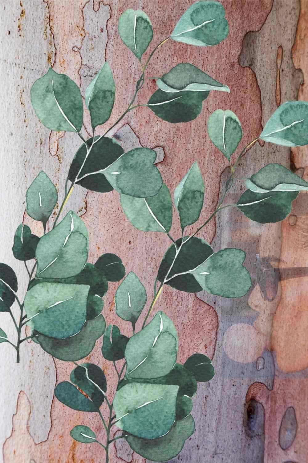 cold sores eucalyptus oil