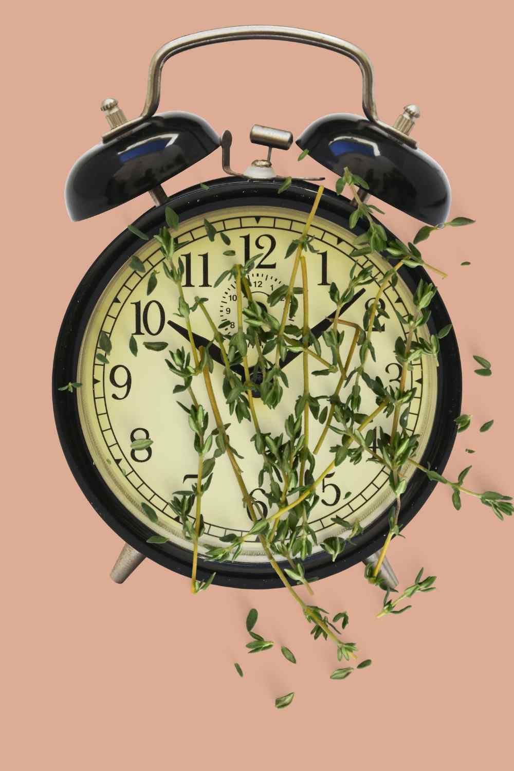 thyme cold sores