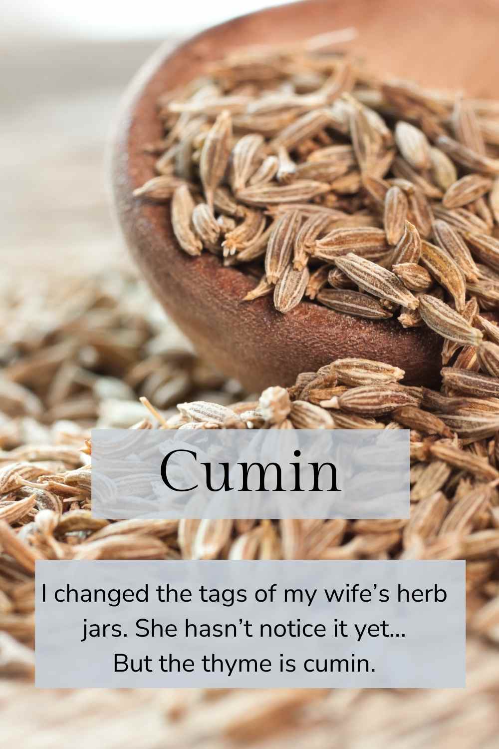 ibs cumin