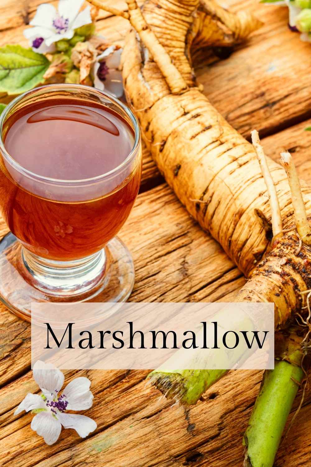 ibs marshmallow root