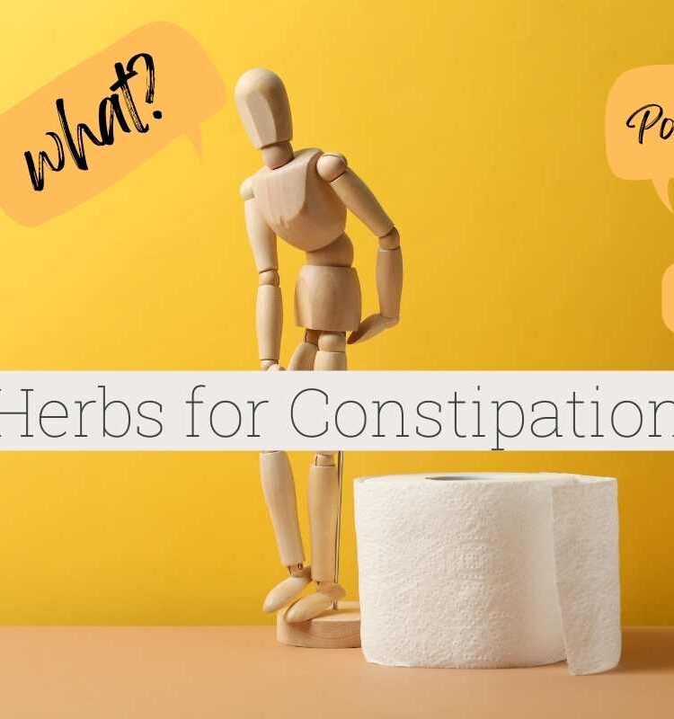 Poop is Sexy! 8 Warrior Herbs for Constipation