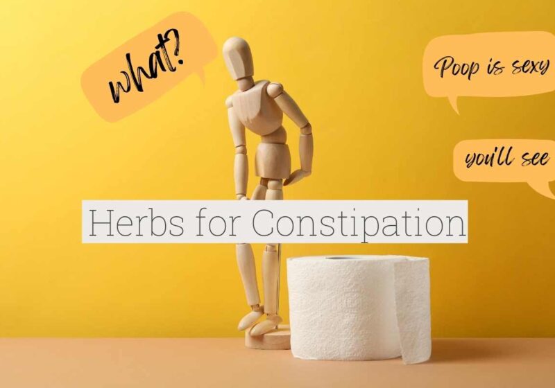 Poop is Sexy! 8 Warrior Herbs for Constipation