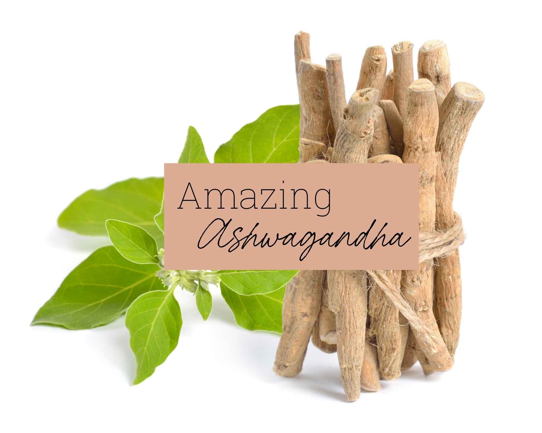 NATURAL HEALTH 8 Remarkable Benefits of Ashwagandha