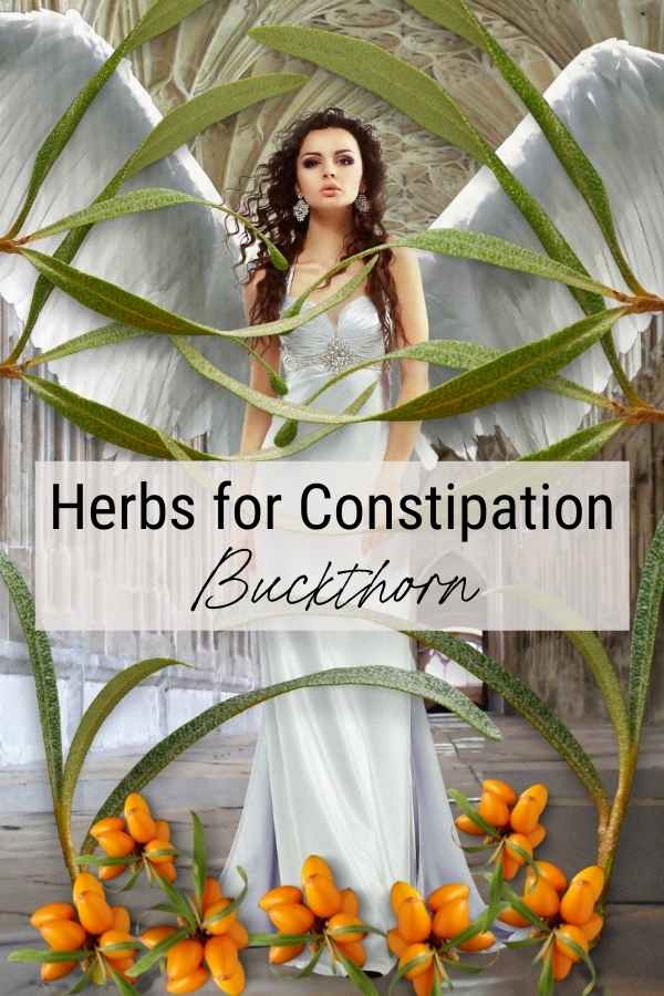 sea buckthorn benefits