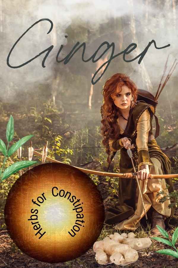 ginger for constipation