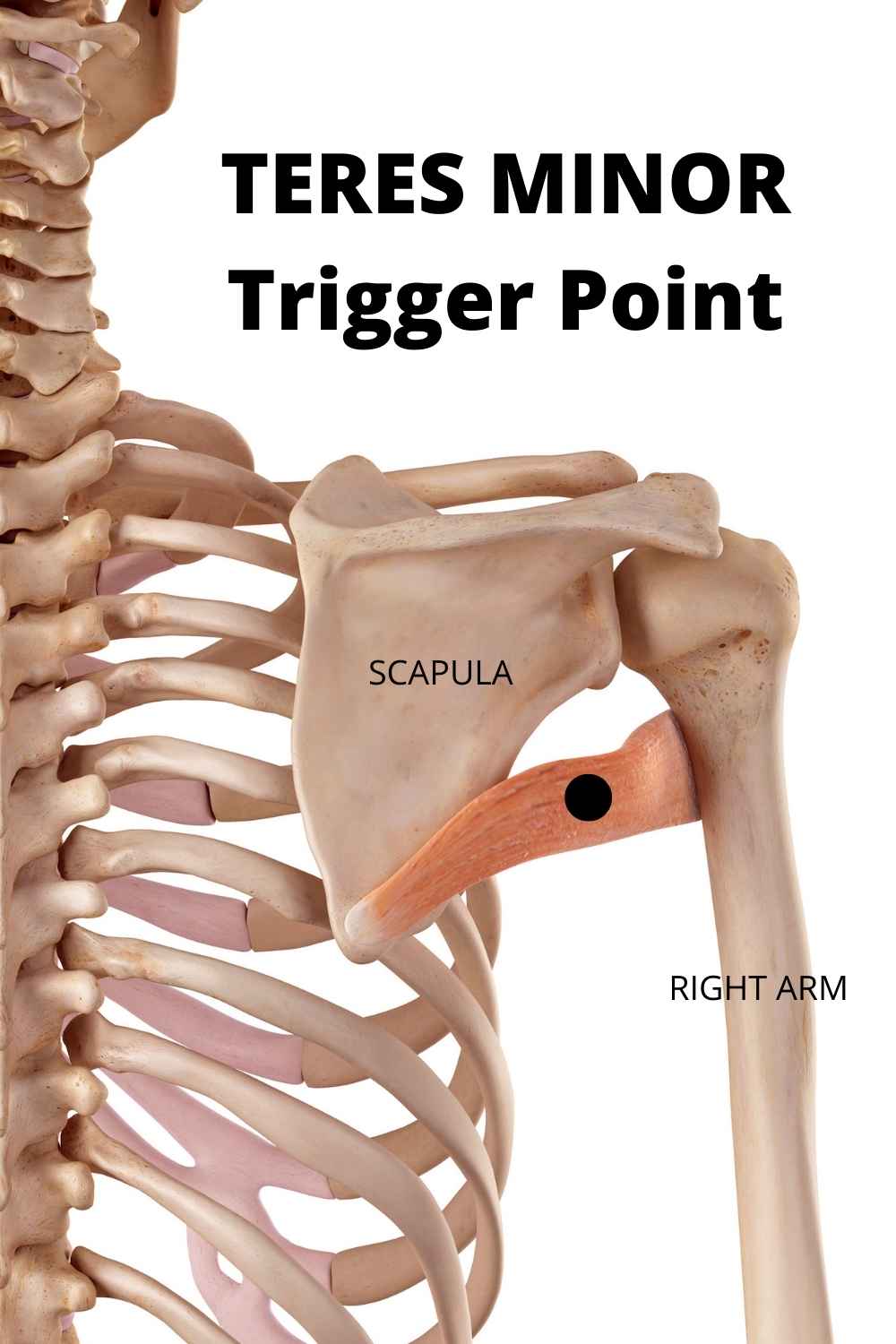 frozen shoulder treatment