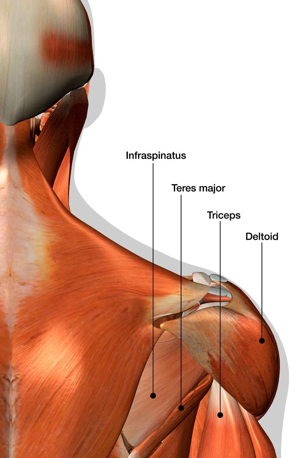 frozen shoulder treatment